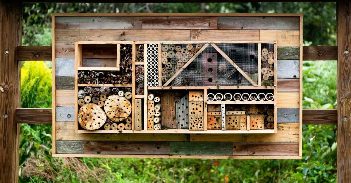 casetta per api solitarie in legno