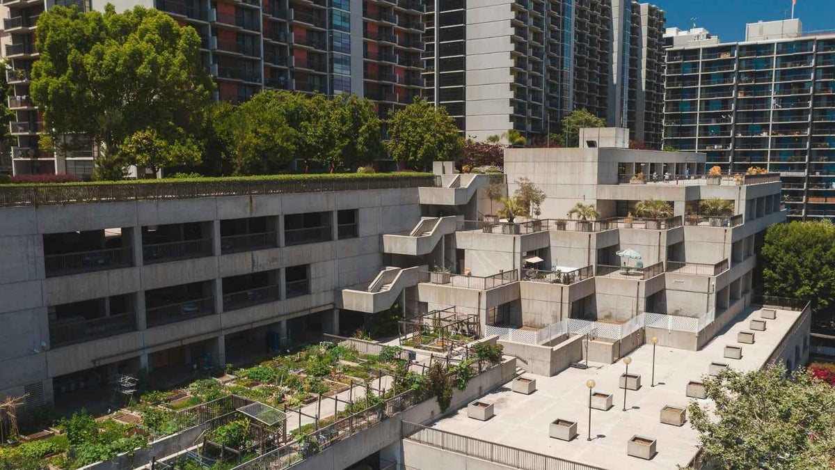 Edificio in cemento bianco con orto e alberi sul tetto