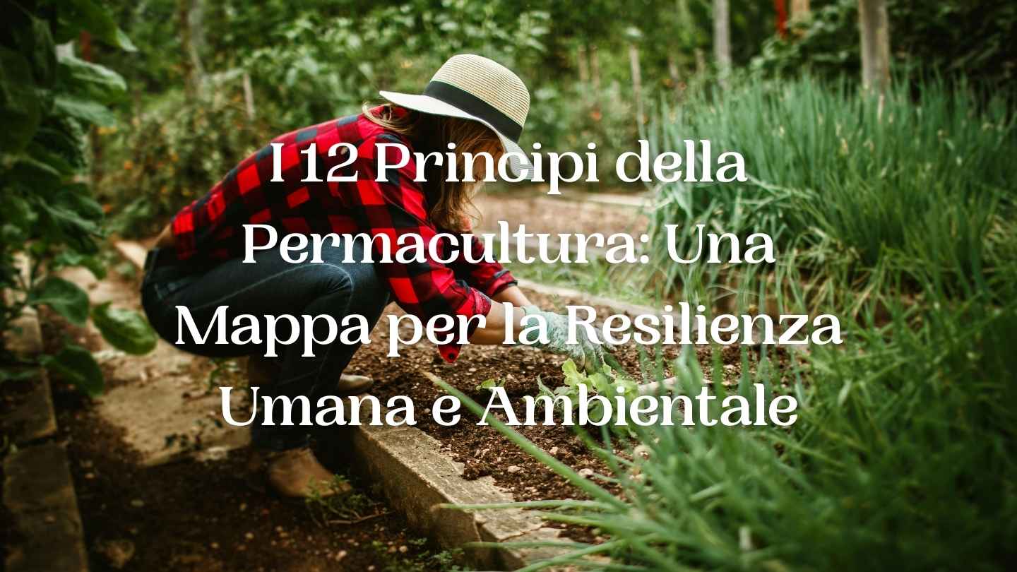 signora con cappello che coltiva l'orto- scritta I 12 Principi della Permacultura: Una Mappa per la Resilienza Umana e Ambientale