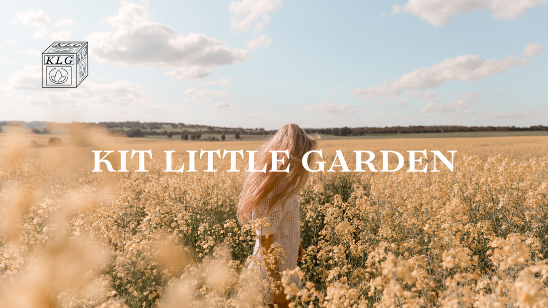 KiT Little Garden- artigianato autentico etico e sostenibile