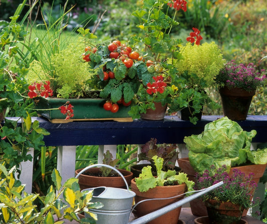 Balcone coltivato - orto sul balcone