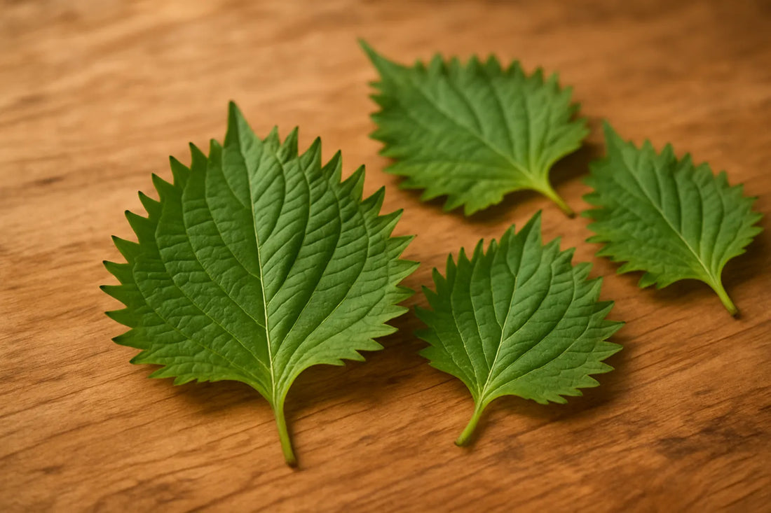 Scena evocativa con foglie di shiso su una superficie di legno naturale