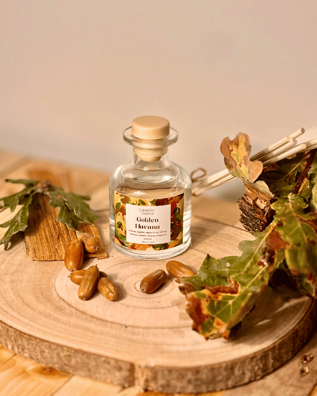 Diffusore a bastoncino in bottiglietta di vetro in sfondo autunnale e foglie, semi e legno di quercia