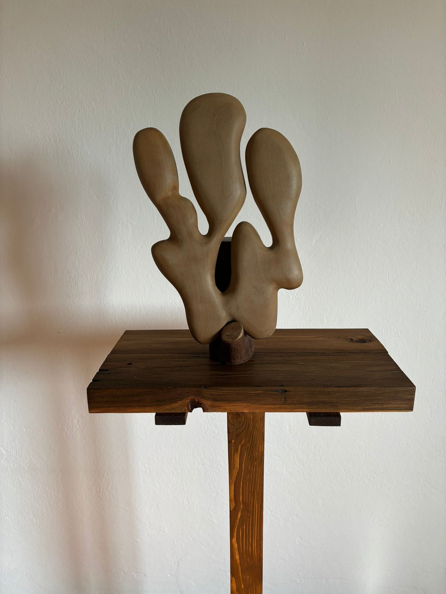 Scultura in legno di Tiglio: La Soluzione