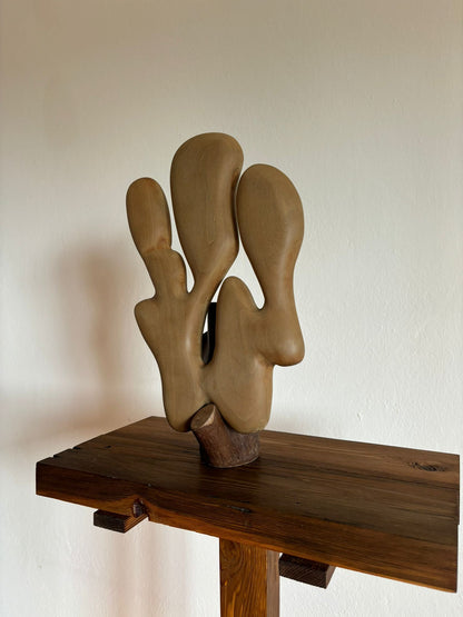 Scultura in legno di Tiglio: La Soluzione