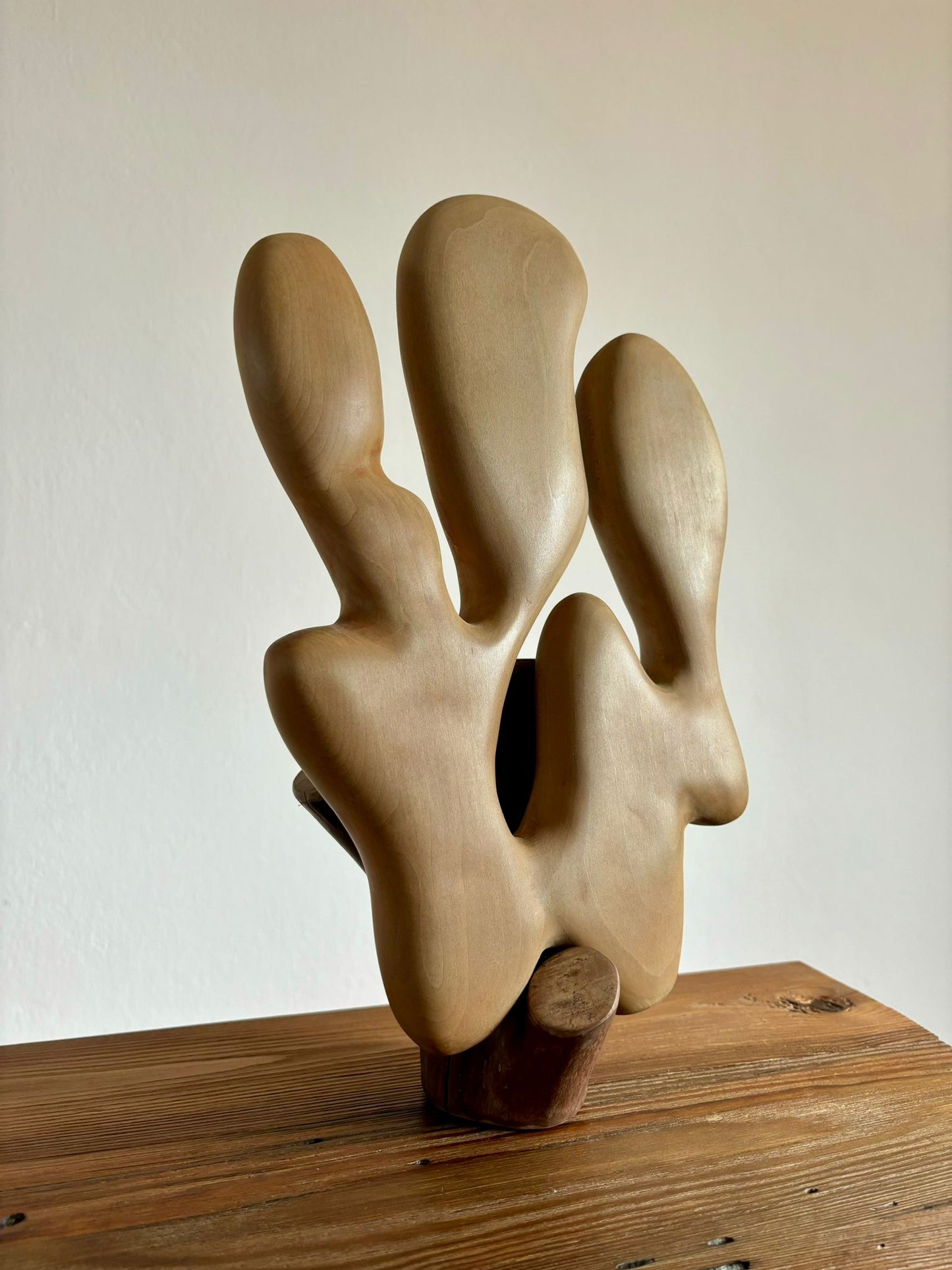 Scultura in legno di Tiglio: La Soluzione