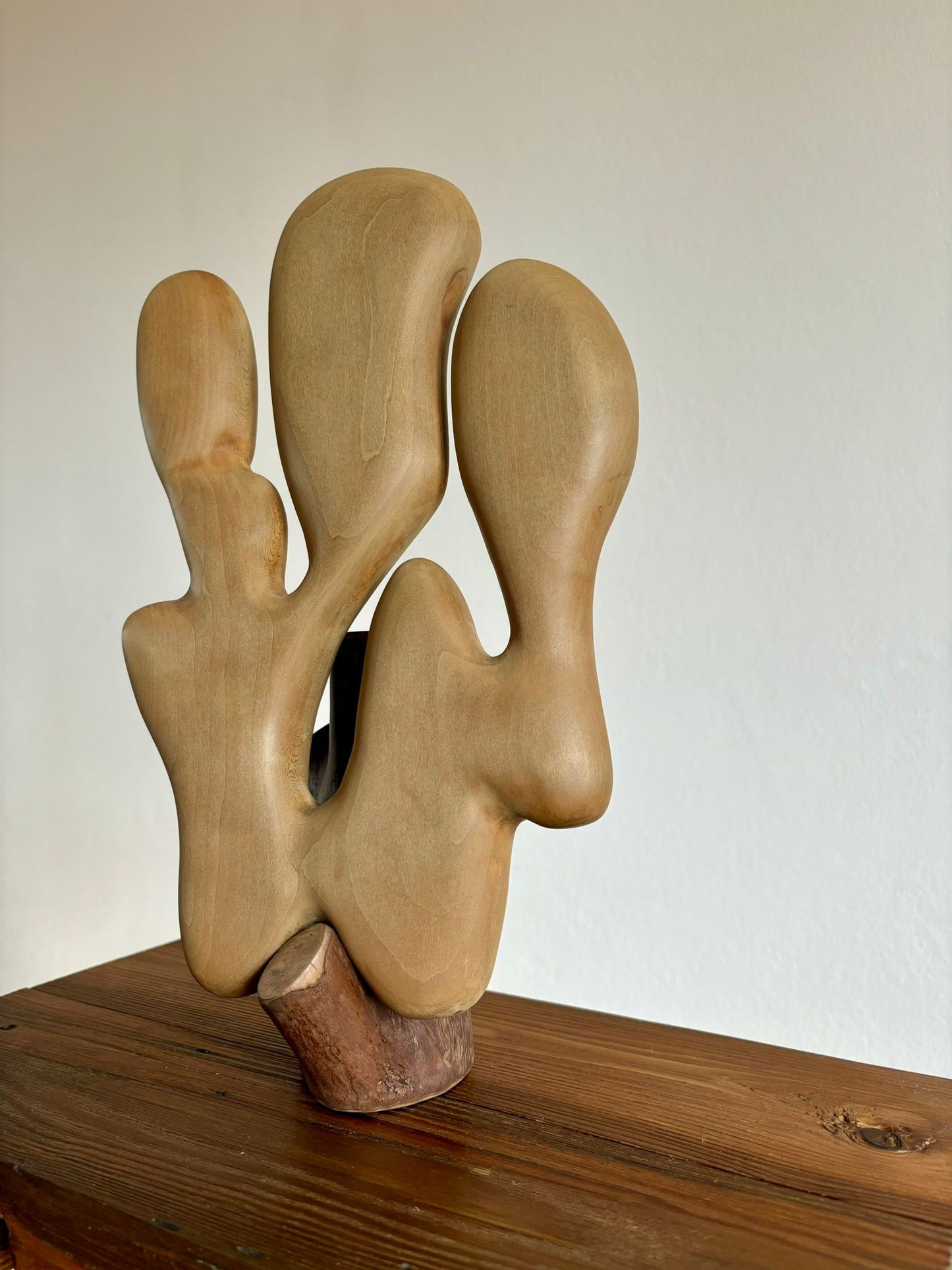 Scultura in legno di Tiglio: La Soluzione