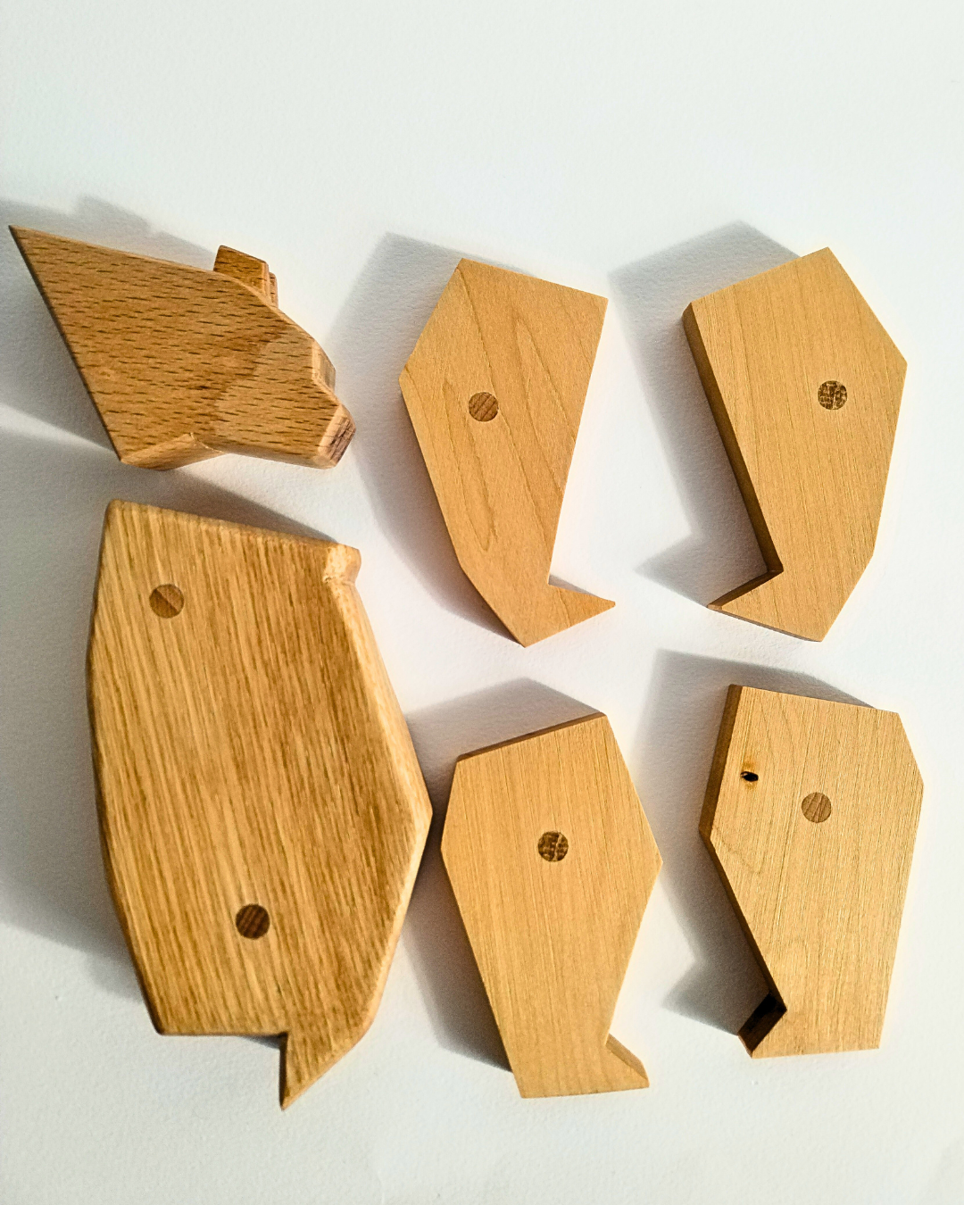 Orso Polare Magnetico: Un Viaggio Avventuroso tra i Ghiacci... e Tanti Equilibri da Trovare!