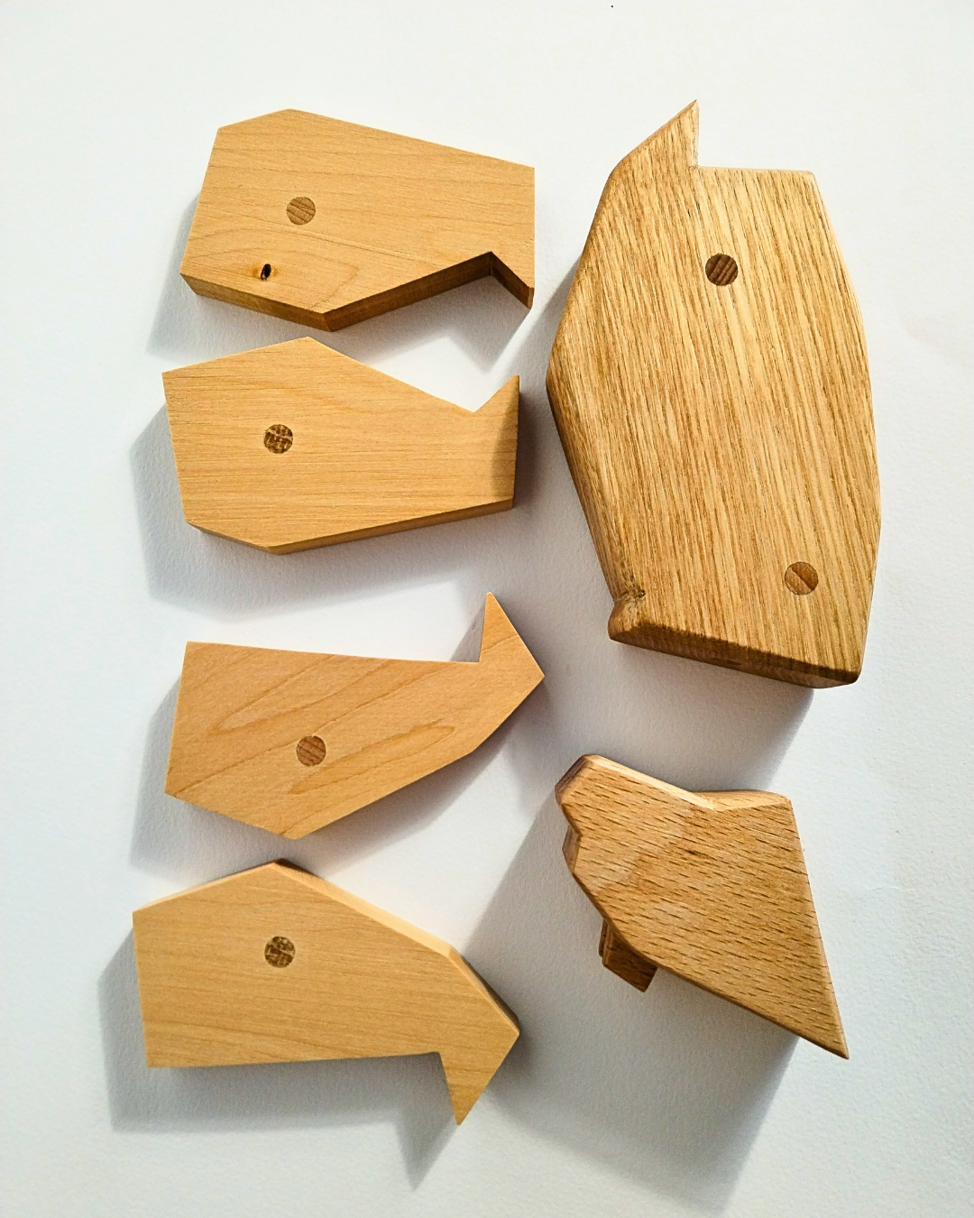 Orso Polare Magnetico: Un Viaggio Avventuroso tra i Ghiacci... e Tanti Equilibri da Trovare!