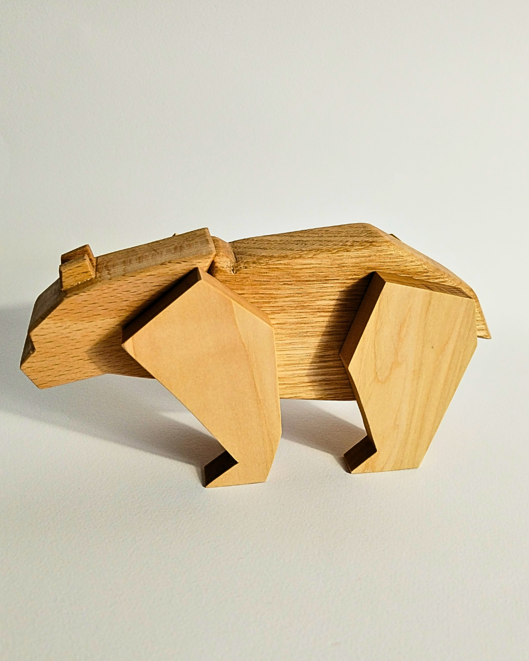 Orso Polare Magnetico: Un Viaggio Avventuroso tra i Ghiacci... e Tanti Equilibri da Trovare!