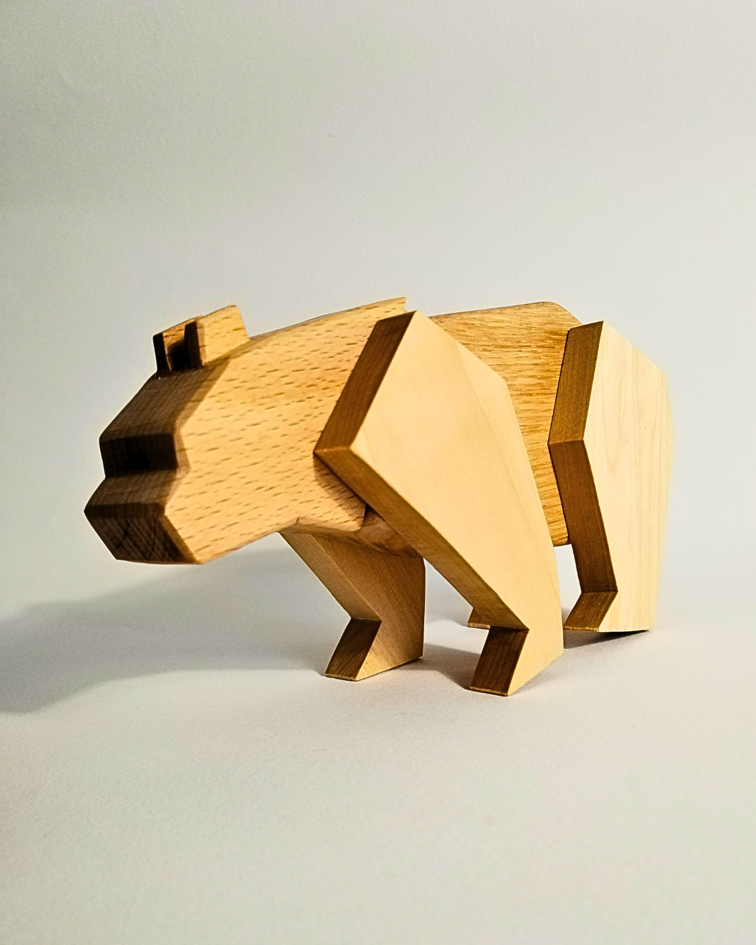 Orso Polare Magnetico: Un Viaggio Avventuroso tra i Ghiacci... e Tanti Equilibri da Trovare!