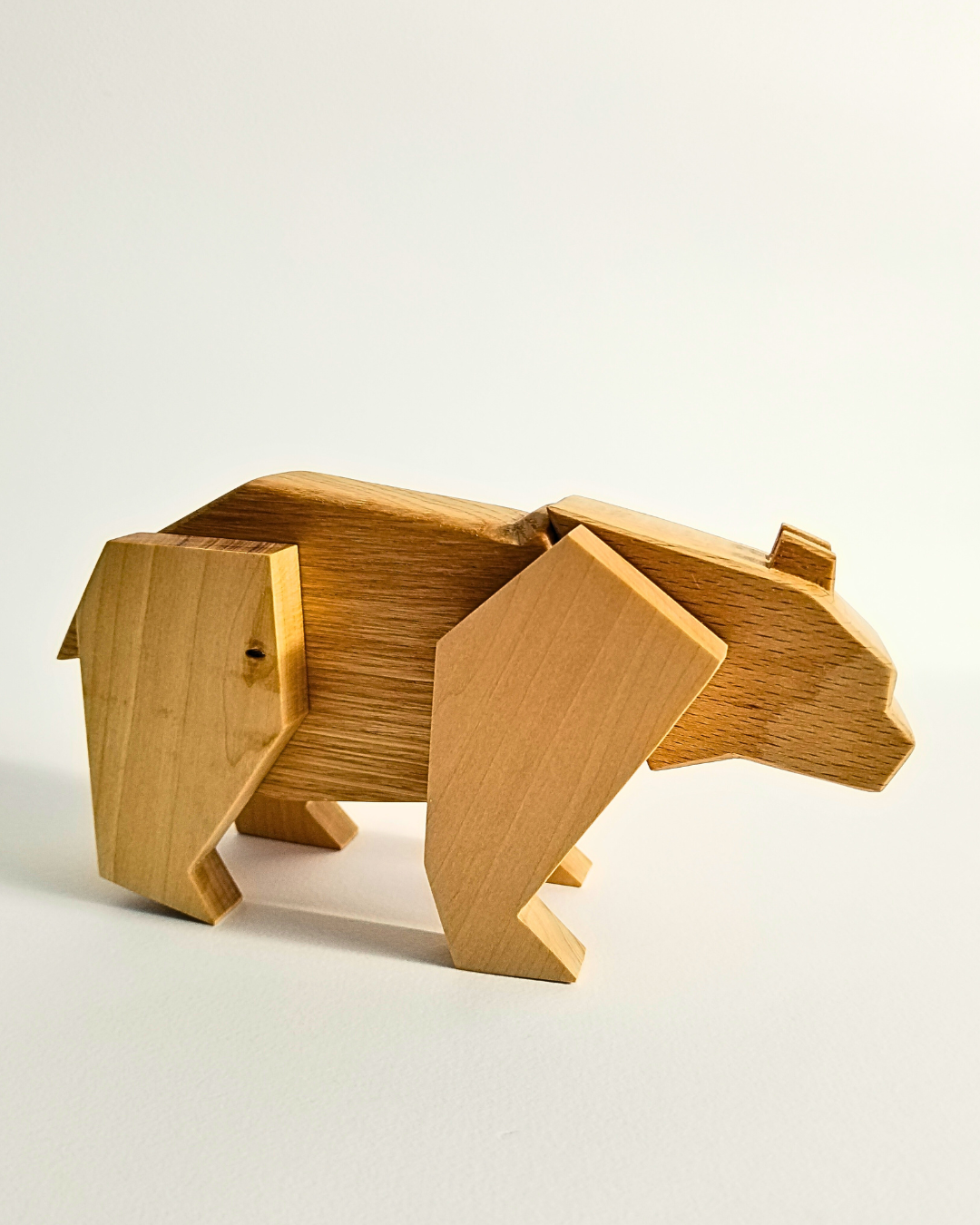 Orso Polare Magnetico: Un Viaggio Avventuroso tra i Ghiacci... e Tanti Equilibri da Trovare!