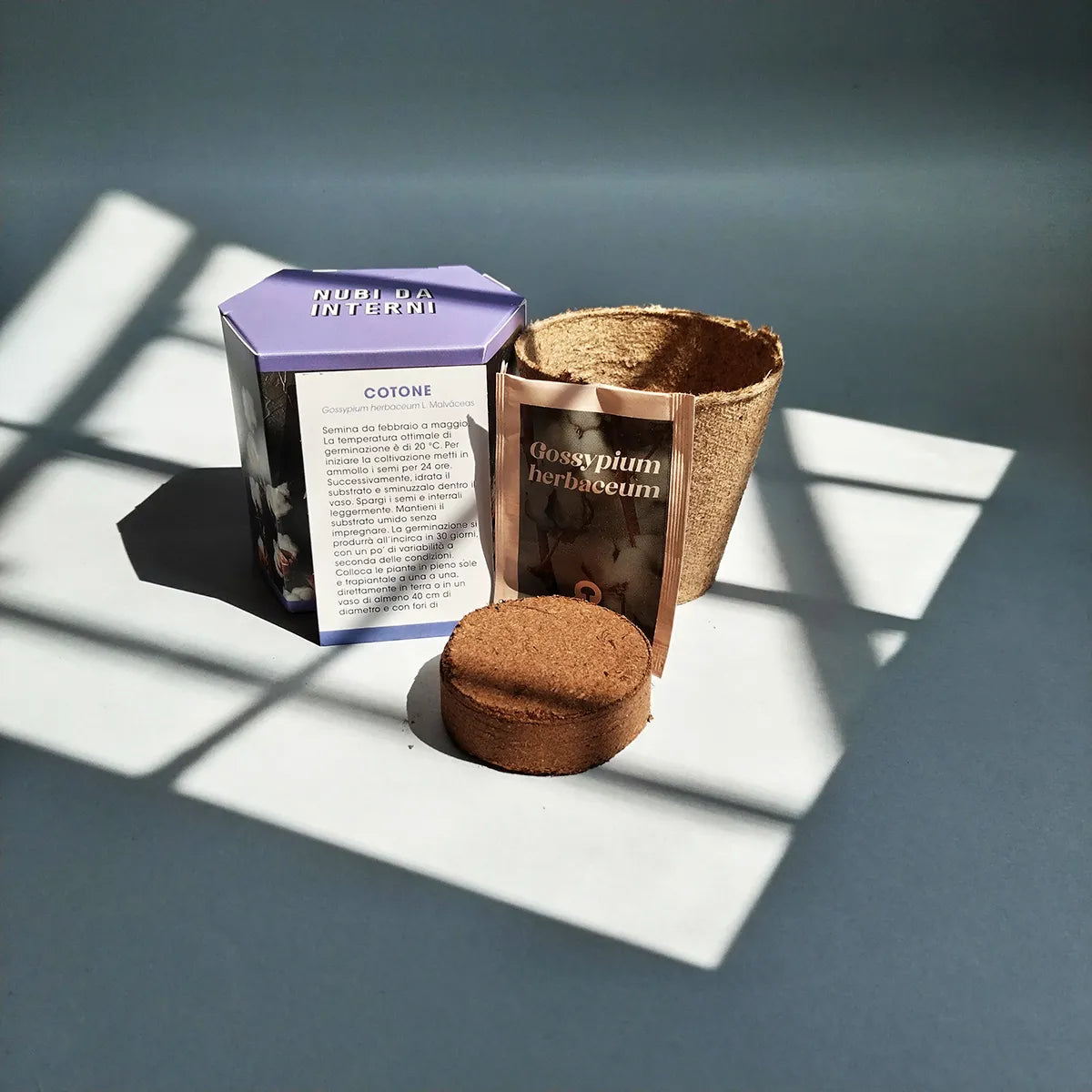 Kit di pinta del cotone foto con scatola aperta con dischetto di torba vaso biodegradabile e semi da piantare