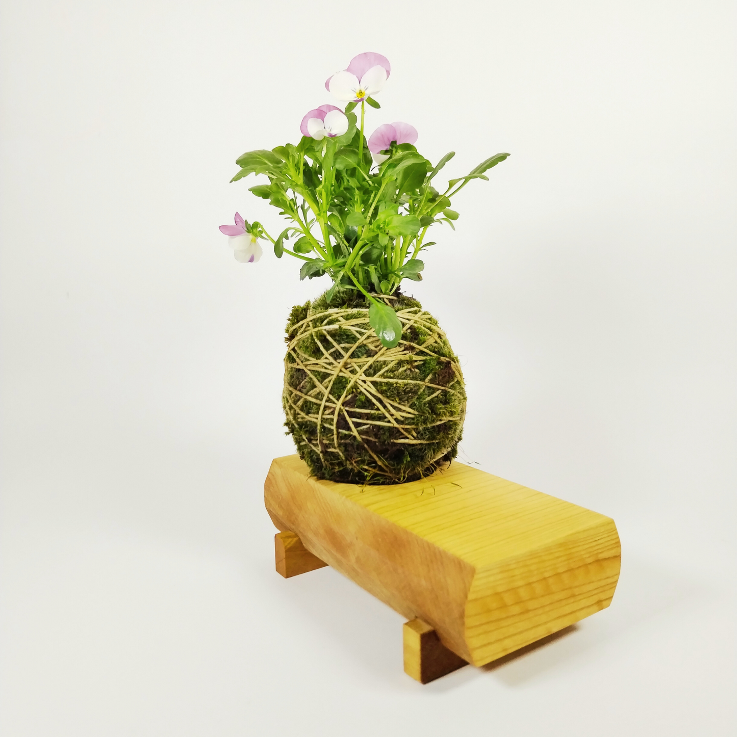 Botanical Prisms in Linden Wood - Kusamono Toy Pot: a toy that grows with your imagination!