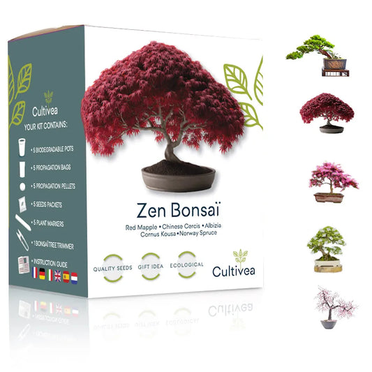 Bonsai Cultivea cultivation kit